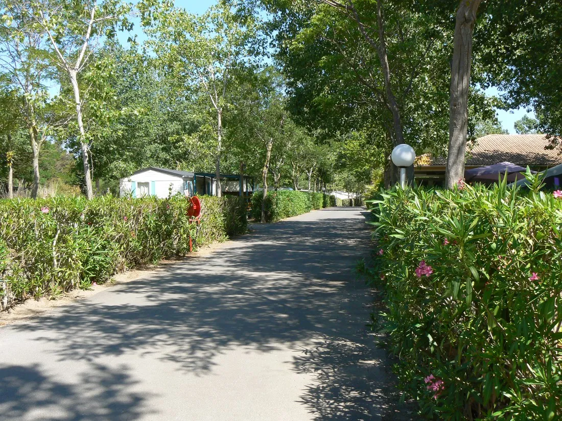 camping-le-rochelongue-agde-ez5mg