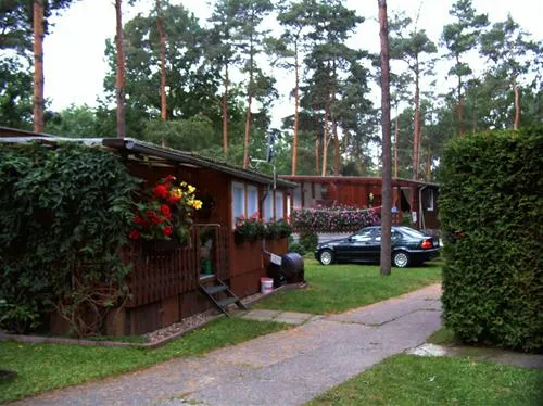 campingplatz-waldblick-lcknitz-eaice