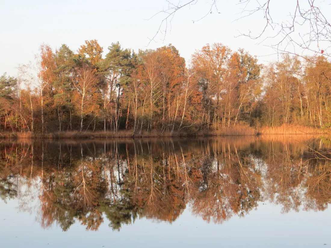 camping-baalse-hei-turnhout-i25ej