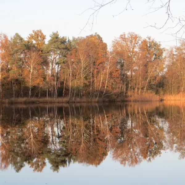 camping-baalse-hei-turnhout-i25ej