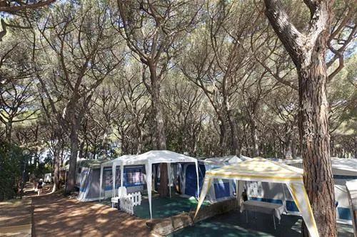 camping-village-oasi-albinia-dh2bd