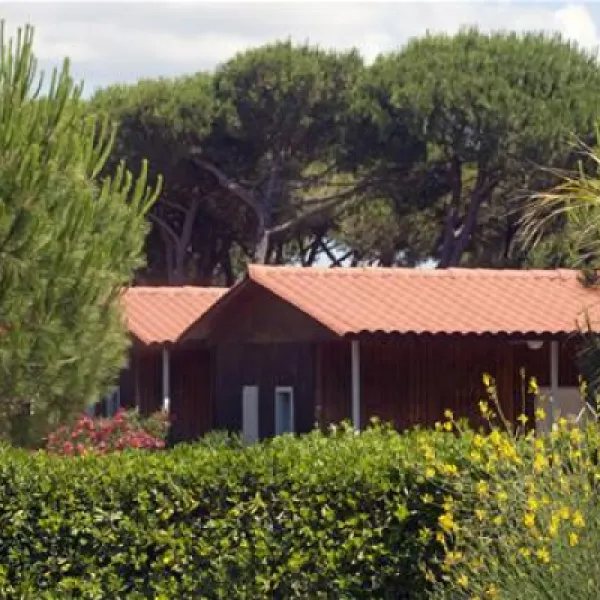 camping-village-oasi-albinia-xuetp