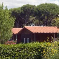 camping-village-oasi-albinia-xuetp