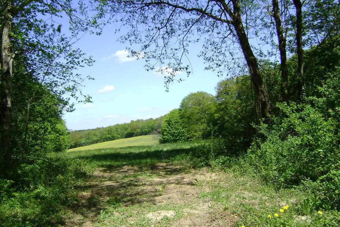 camping-a-la-ferme-domaine-de-la-pierre-percee-fouvent-le-bas-7eden