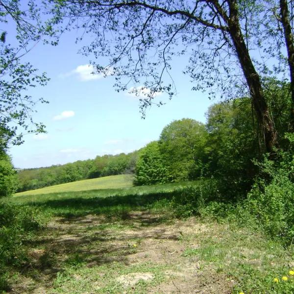 camping-a-la-ferme-domaine-de-la-pierre-percee-fouvent-le-bas-7eden