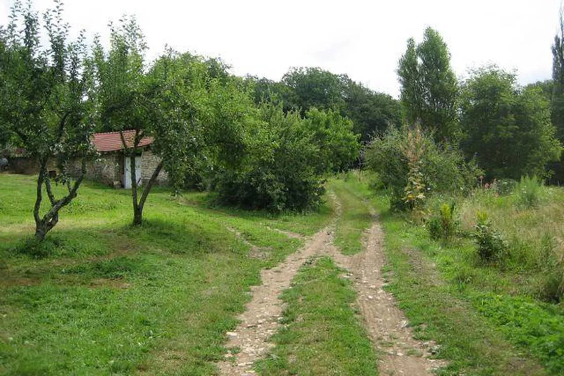 camping-a-la-ferme-domaine-de-la-pierre-percee-fouvent-le-bas-9e7w7