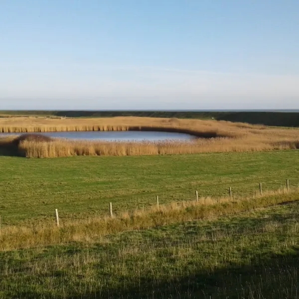 camping-lucky-lake-texel-oosterend-w5vdb