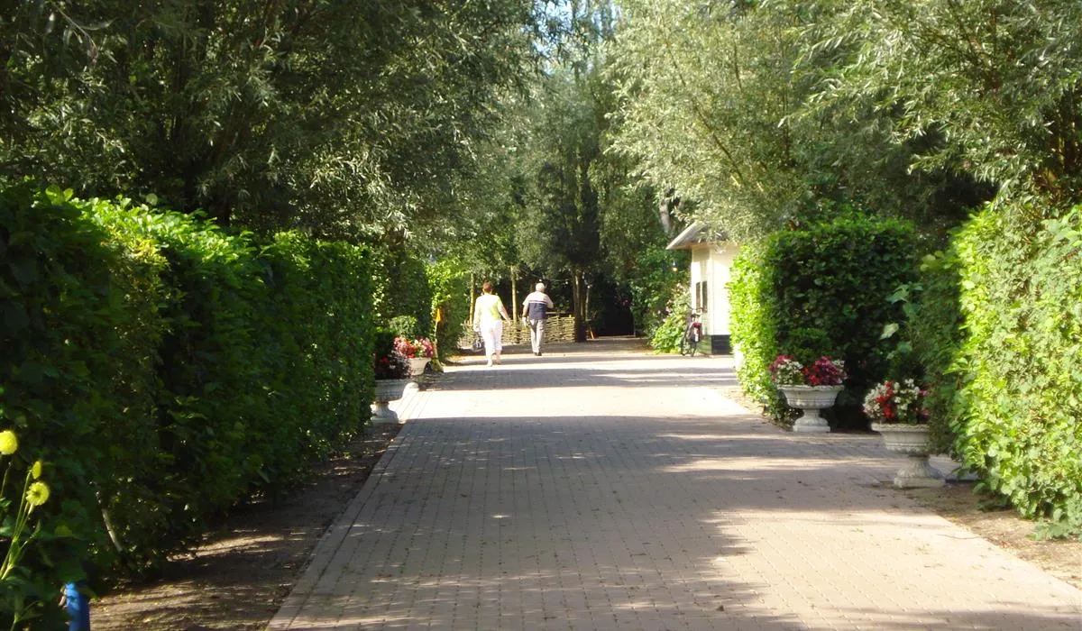 camping-heetveld-sint-jansklooster-r72cu