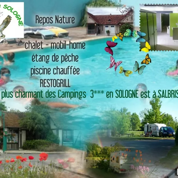 camping-de-sologne-salbris-z3ej5