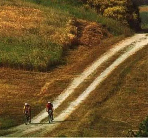 camping-podere-sei-poorte-monteciccardo-fppm0