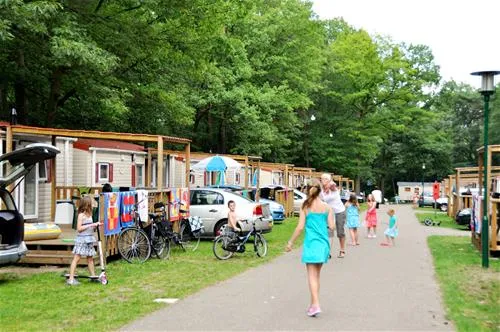 camping-hengelhoef-houthalen-qo5va