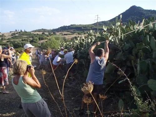 campeggio-capo-ferrato-muravera-qzwvu
