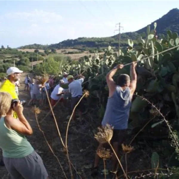 campeggio-capo-ferrato-muravera-qzwvu