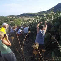 campeggio-capo-ferrato-muravera-qzwvu