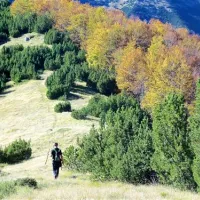 kokopelli-camping-serramonacesca-3rlkt