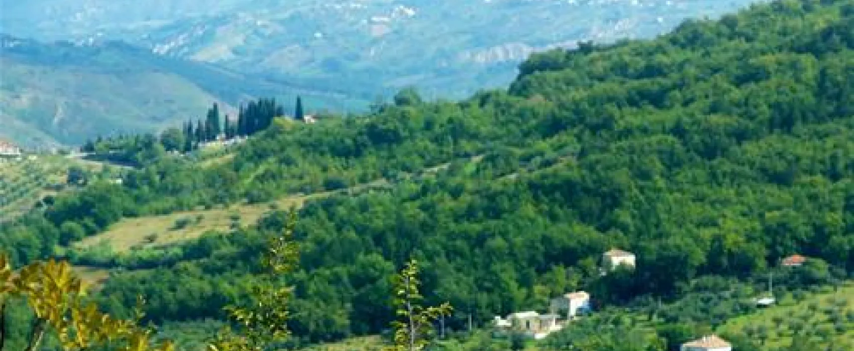Kokopelli Camping
