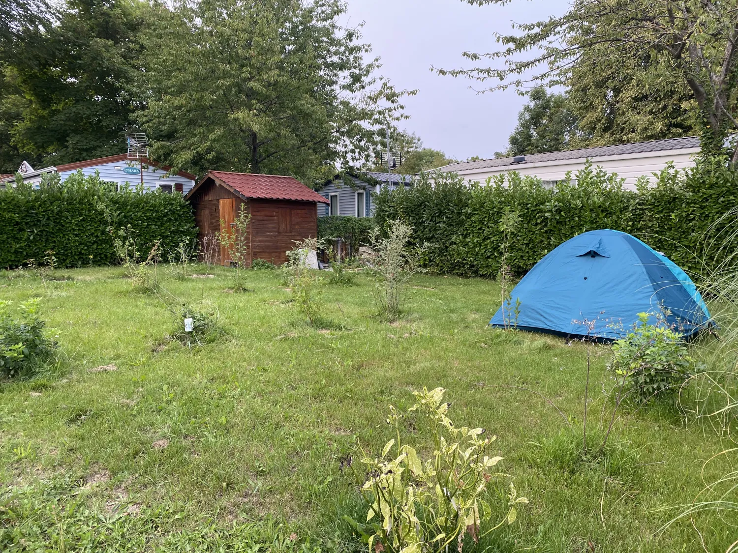 camping-la-faloise-angicourt-0u9q7