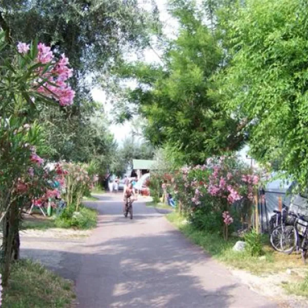 camping-la-rocca-bardolino-di5nt