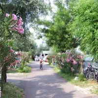 camping-la-rocca-bardolino-di5nt