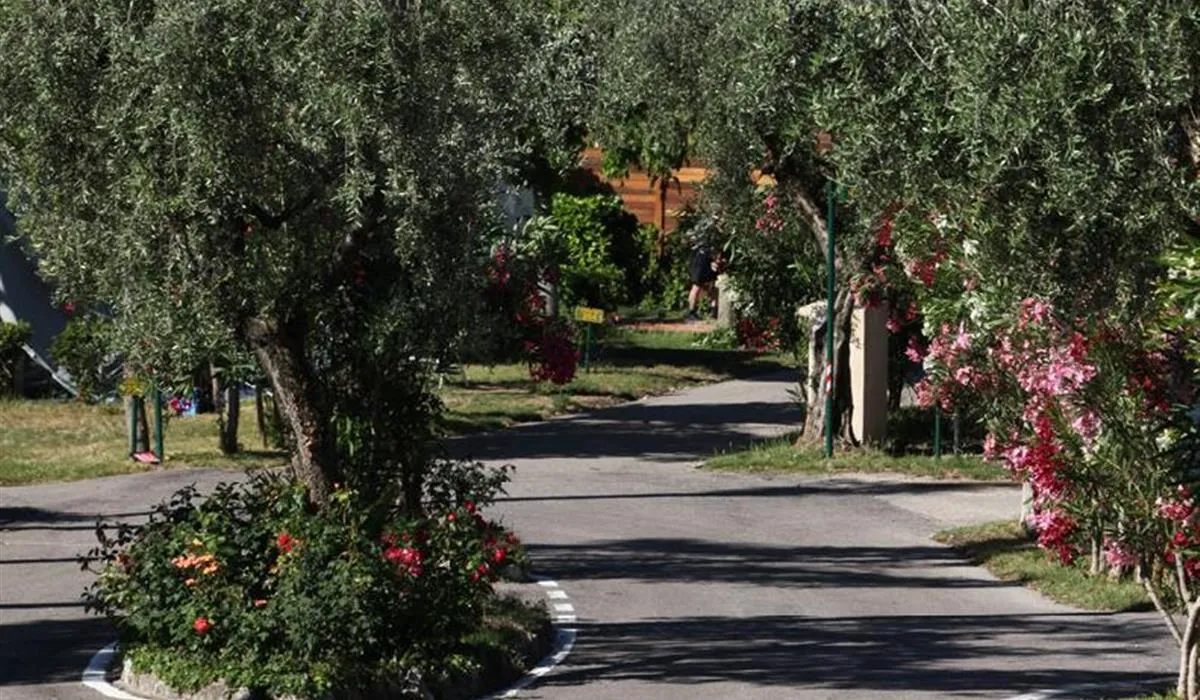 camping-la-rocca-bardolino-qd9fj