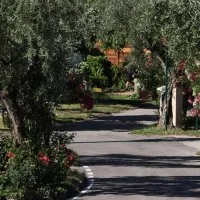 camping-la-rocca-bardolino-qd9fj