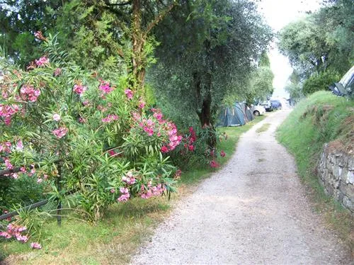 camping-la-rocca-bardolino-tqvxf