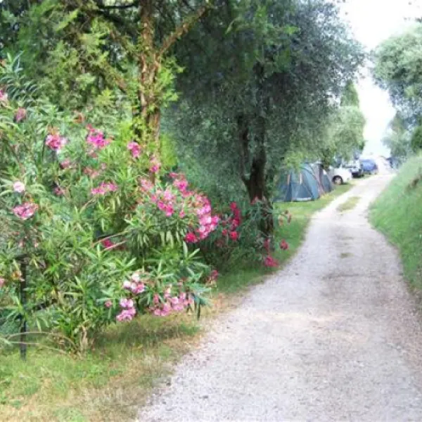camping-la-rocca-bardolino-tqvxf