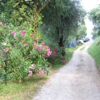 camping-la-rocca-bardolino-tqvxf