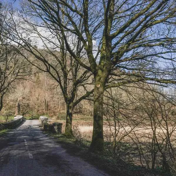 higher-longford-caravan-camping-park-tavistock-2nq1a
