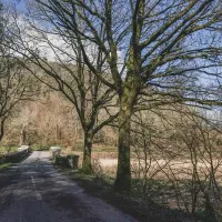 higher-longford-caravan-camping-park-tavistock-2nq1a