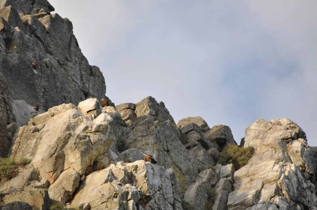 monfrague-malpartida-de-plasencia-kwpic