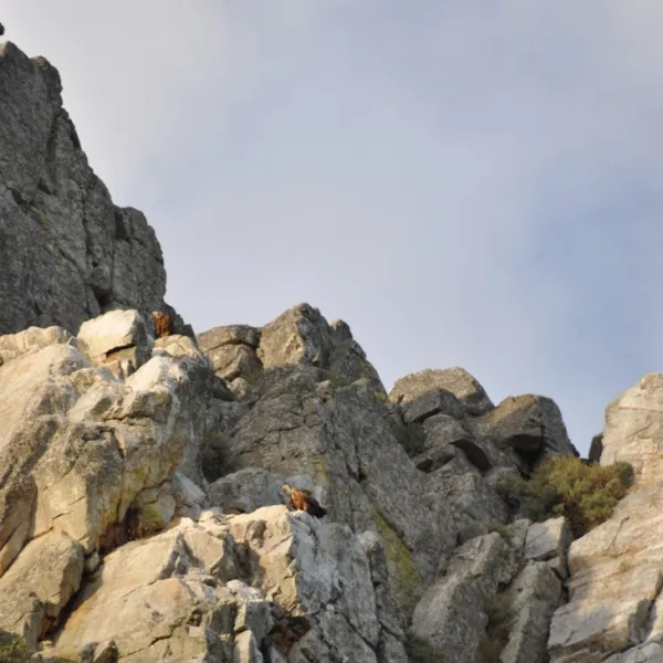 monfrague-malpartida-de-plasencia-kwpic