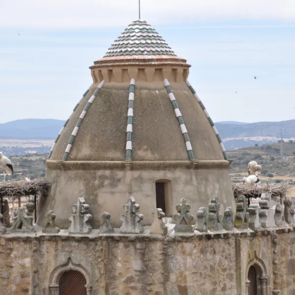 monfrague-malpartida-de-plasencia-oxq7z