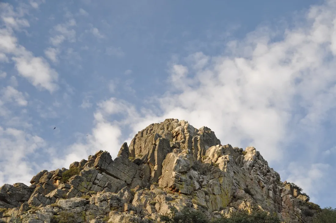 monfrague-malpartida-de-plasencia-zxqv2