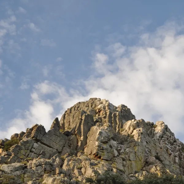 monfrague-malpartida-de-plasencia-zxqv2