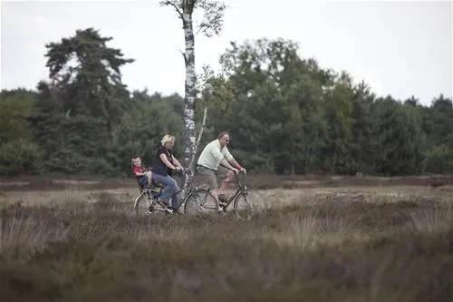 camping-de-ullingse-bergen-sint-anthonis-tm3xa
