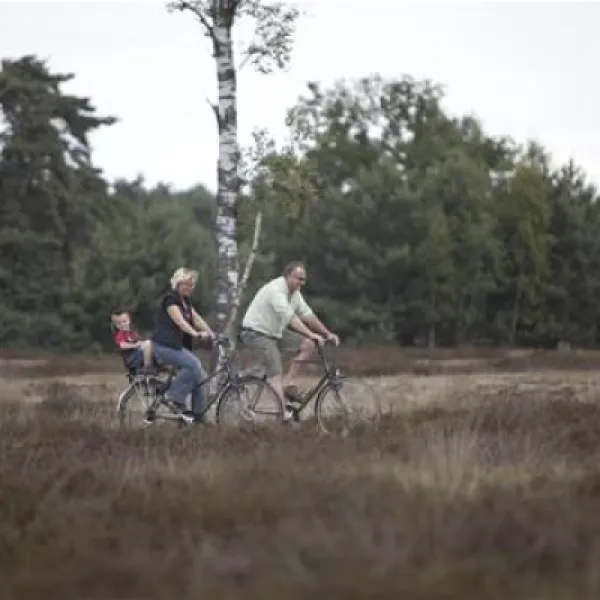 camping-de-ullingse-bergen-sint-anthonis-tm3xa