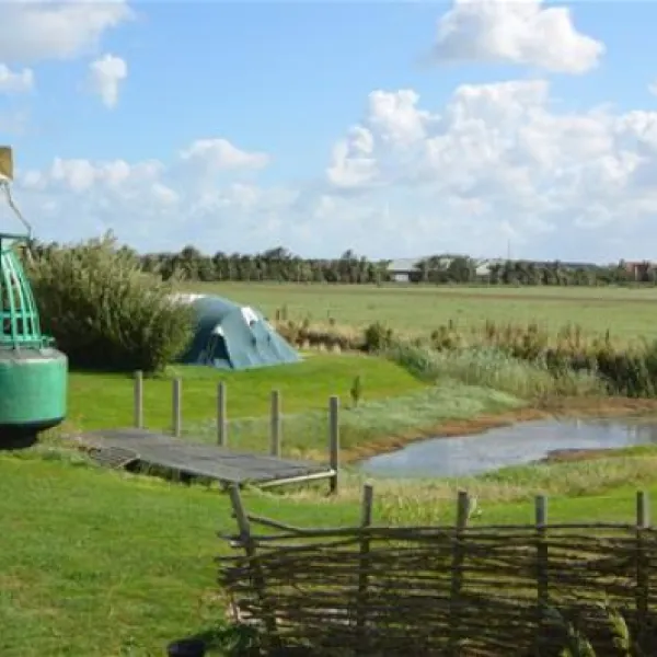 Tussen wad en strand