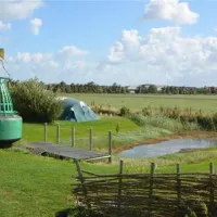 Tussen wad en strand