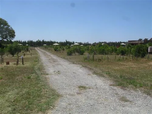 zmar-eco-campo-resort-spa-odemira-zjqam