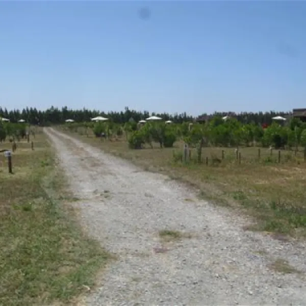 zmar-eco-campo-resort-spa-odemira-zjqam