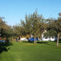 Camping Ruderbaum