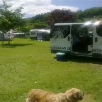 camping-wiesneu-dillingen-cjaaw