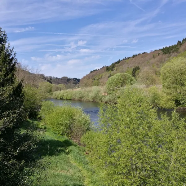 camping-wiesneu-dillingen-lczsn