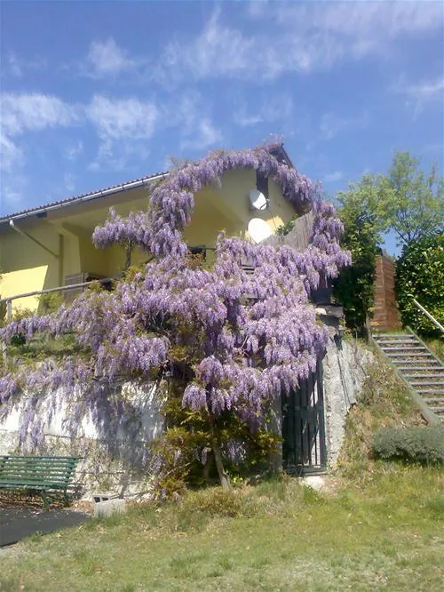 campeggio-naturista-costalunga-sassello-l0qsf