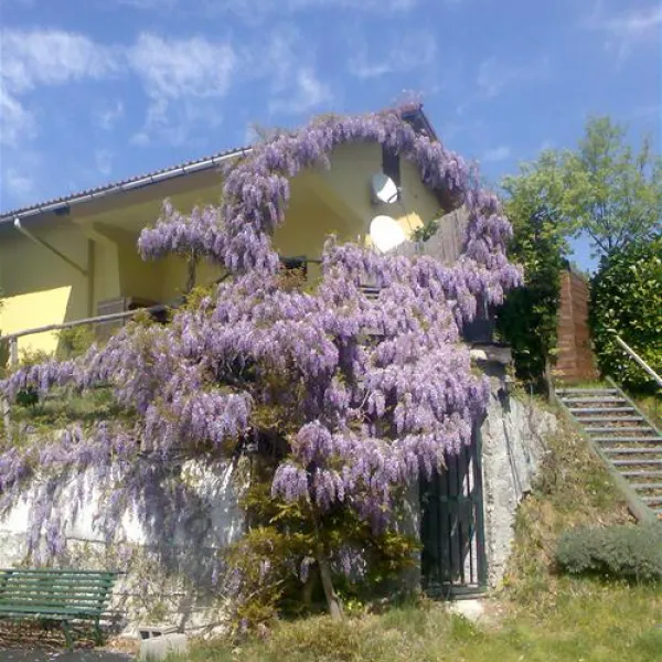 Campeggio Naturista Costalunga