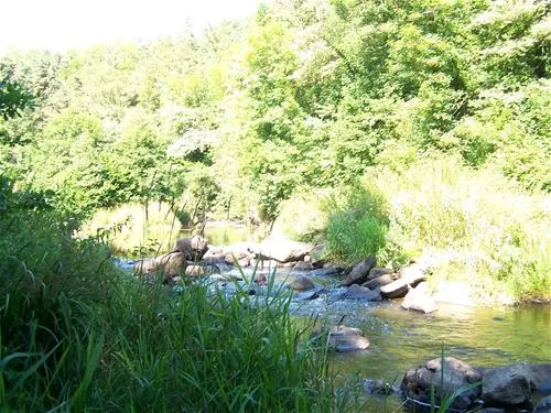 camping-de-la-rochelambert-saint-paulien-wrr5q