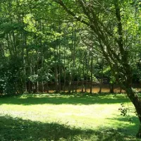 camping-de-la-rochelambert-saint-paulien-y9p6v