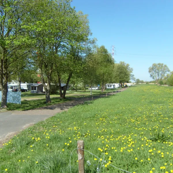 camping-juliusplate-berne-xq8vj