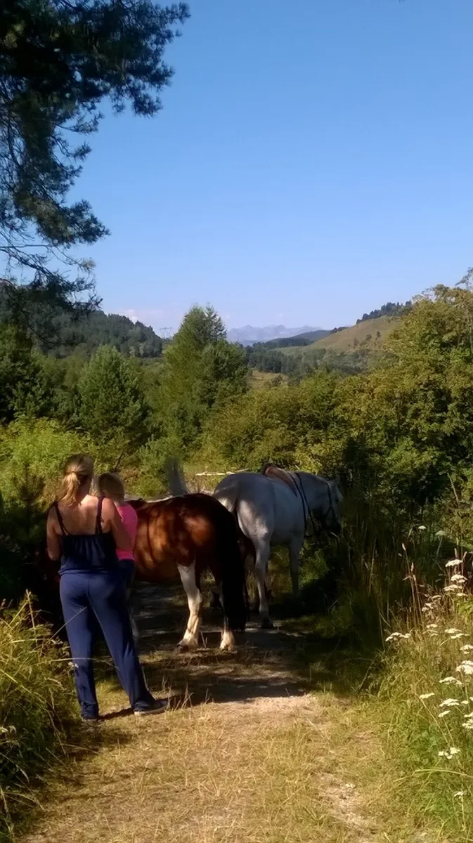 camping-les-sapins-camurac-mgevn